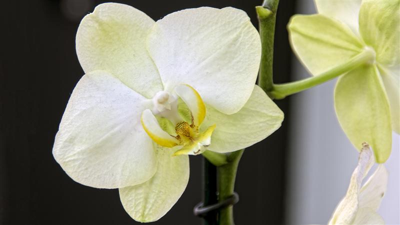 Photo 404719