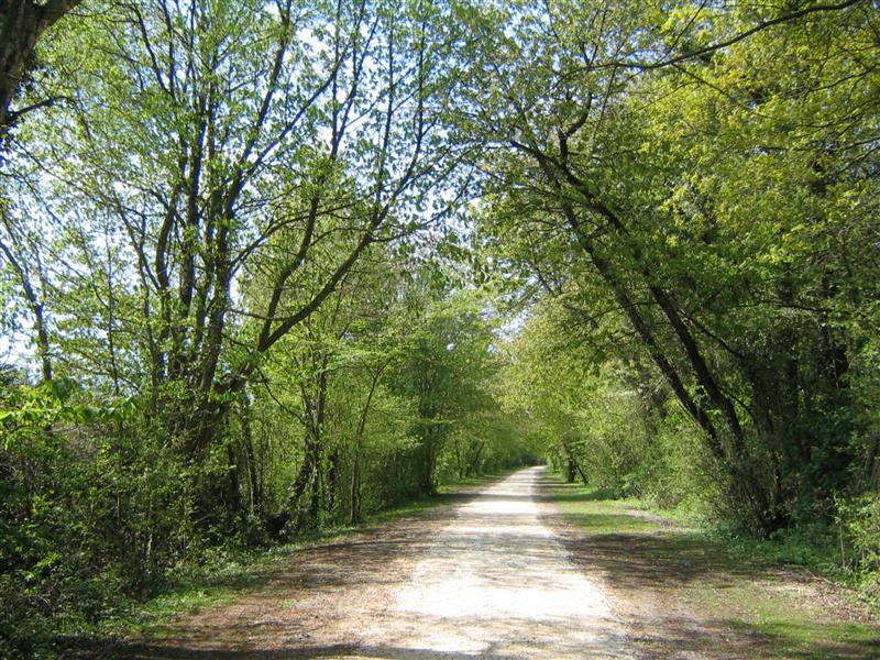Photo 452826