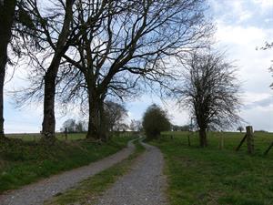 Photo 621696
