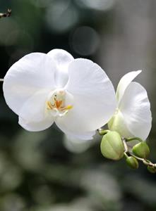Photo 622012