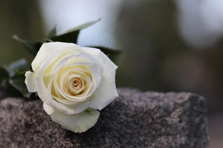 Photo 672765