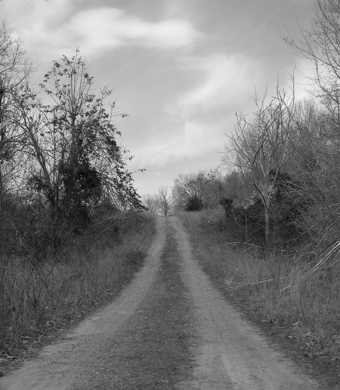 Photo 784367
