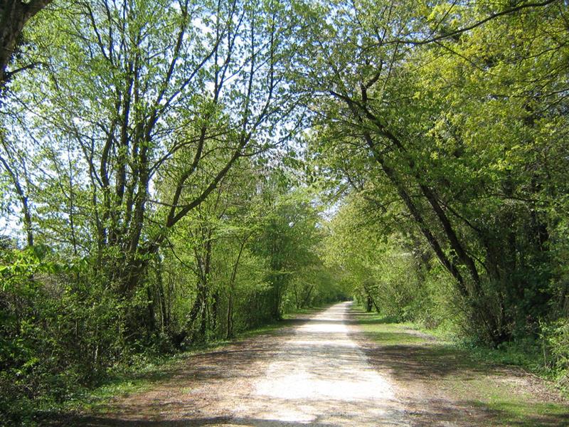 Photo 790693